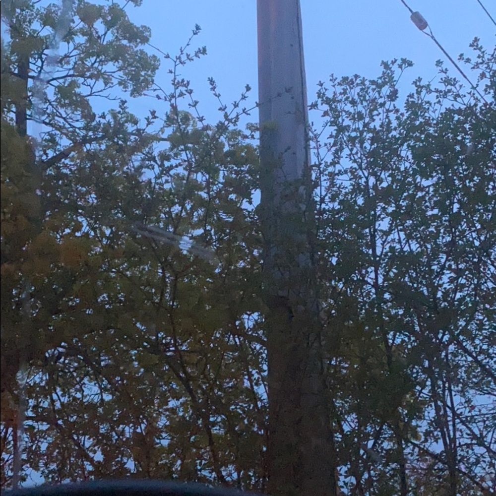 Meet your Posher, Nicholas